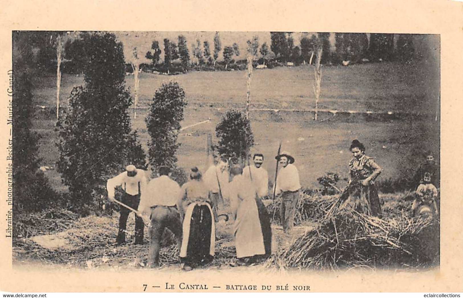 Non Localisé. Auvergne. Cantal       15    Battage Du Blé Noir  7  (environs De Mauriac)   (Voir Scan) - Otros & Sin Clasificación