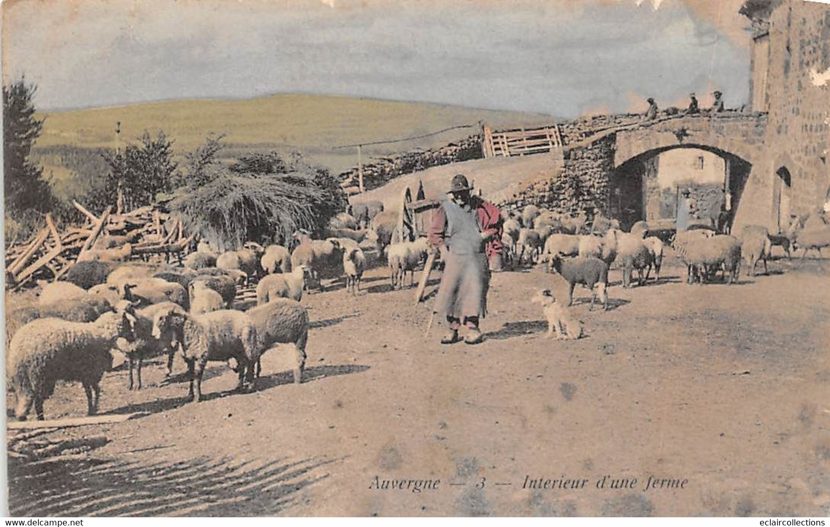 Non Localisé. Auvergne. Cantal       15    Intérieur D'une Ferme. Berger Et Ses Moutons.  3   (Voir Scan) - Autres & Non Classés