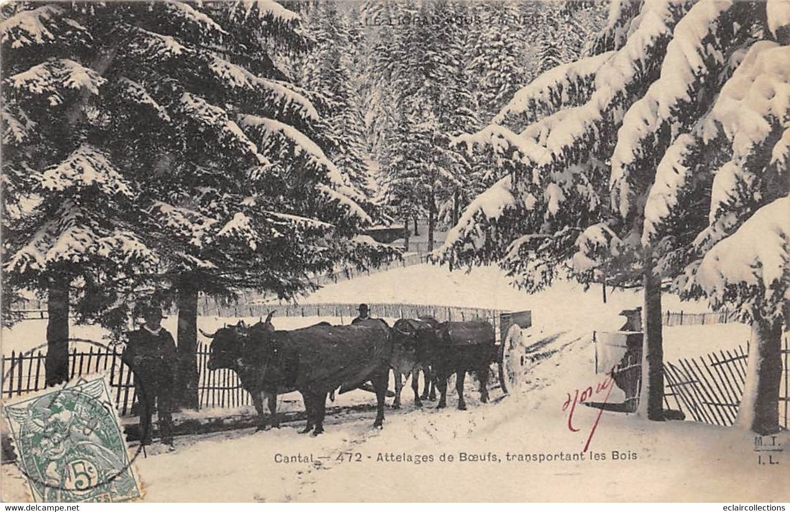 Non Localisé. Auvergne. Cantal      15       Attelage De Bœufs Transportant Du Bois     472  (Voir Scan) - Autres & Non Classés