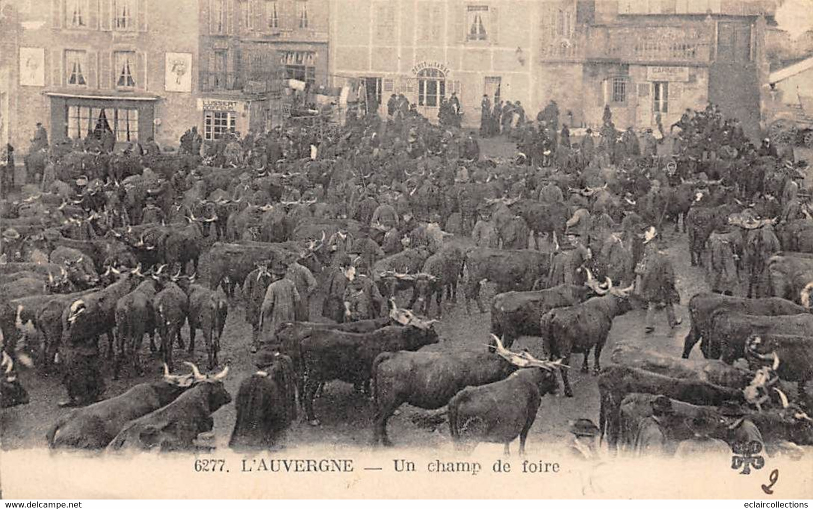 Non Localisé. Auvergne. Cantal      15        Marché Aux Bestiaux. Un Champ De Foire M T I L 6277    (Voir Scan) - Autres & Non Classés