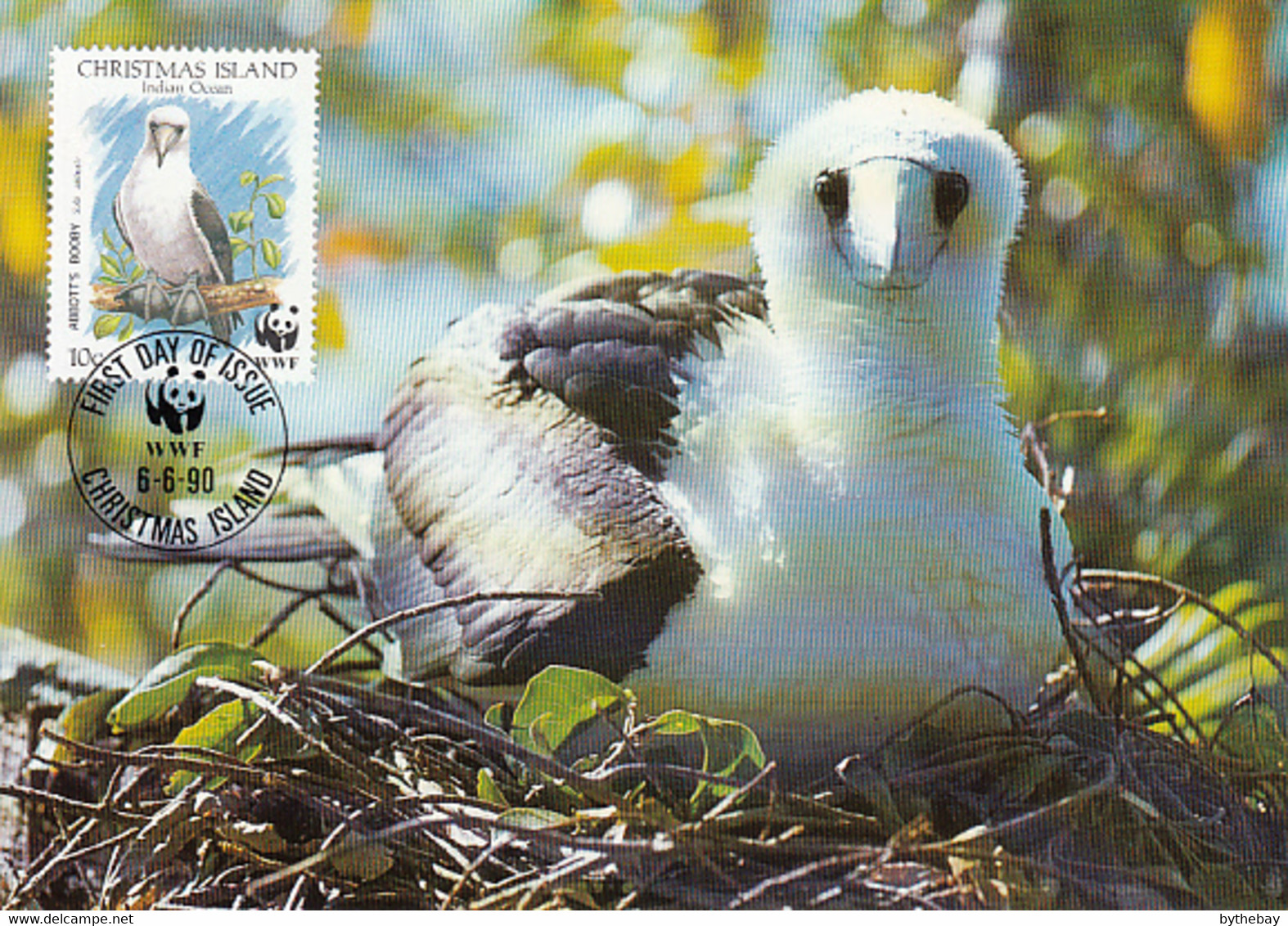 Christmas Island 1990 Maxicard Sc #270 10c Abbott's Booby WWF - Christmas Island