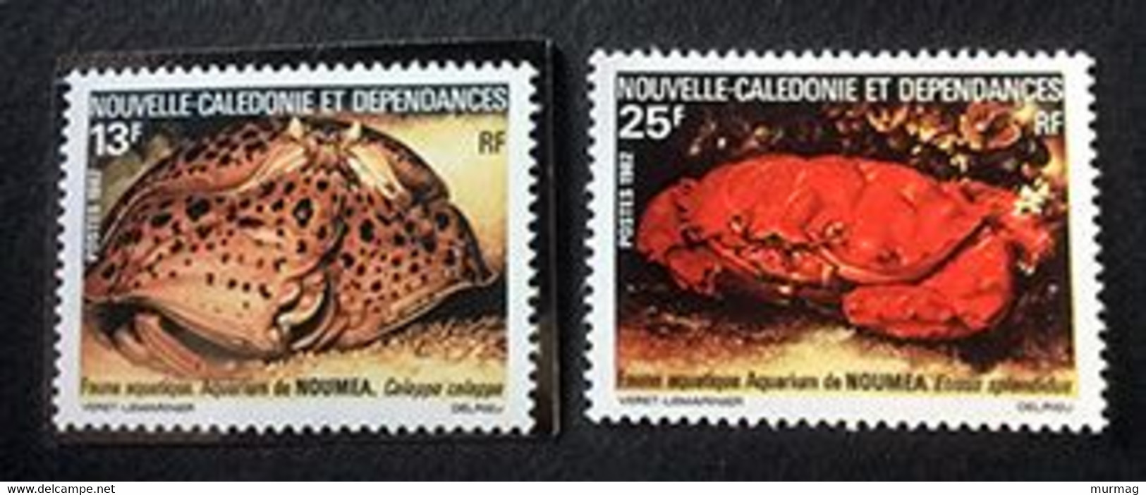 NOUVELLE CALEDONIE - Faune Aquatique - Y&T 453-454 - Altri & Non Classificati