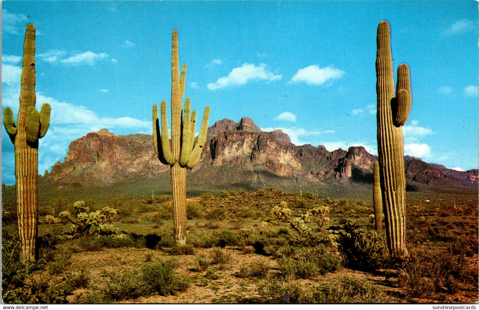 Arizona Mesa Superstition Mountains And Giant Saguaro Cactus - Mesa