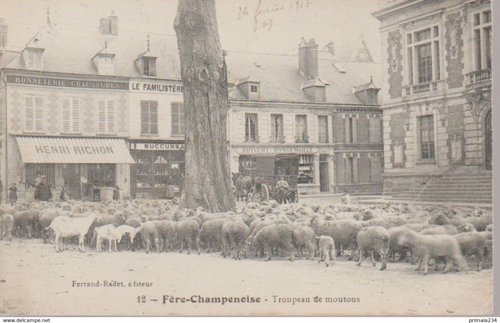 FERE - CHAMPENOISE - TROUPEAU DE MOUTONS - Fère-Champenoise