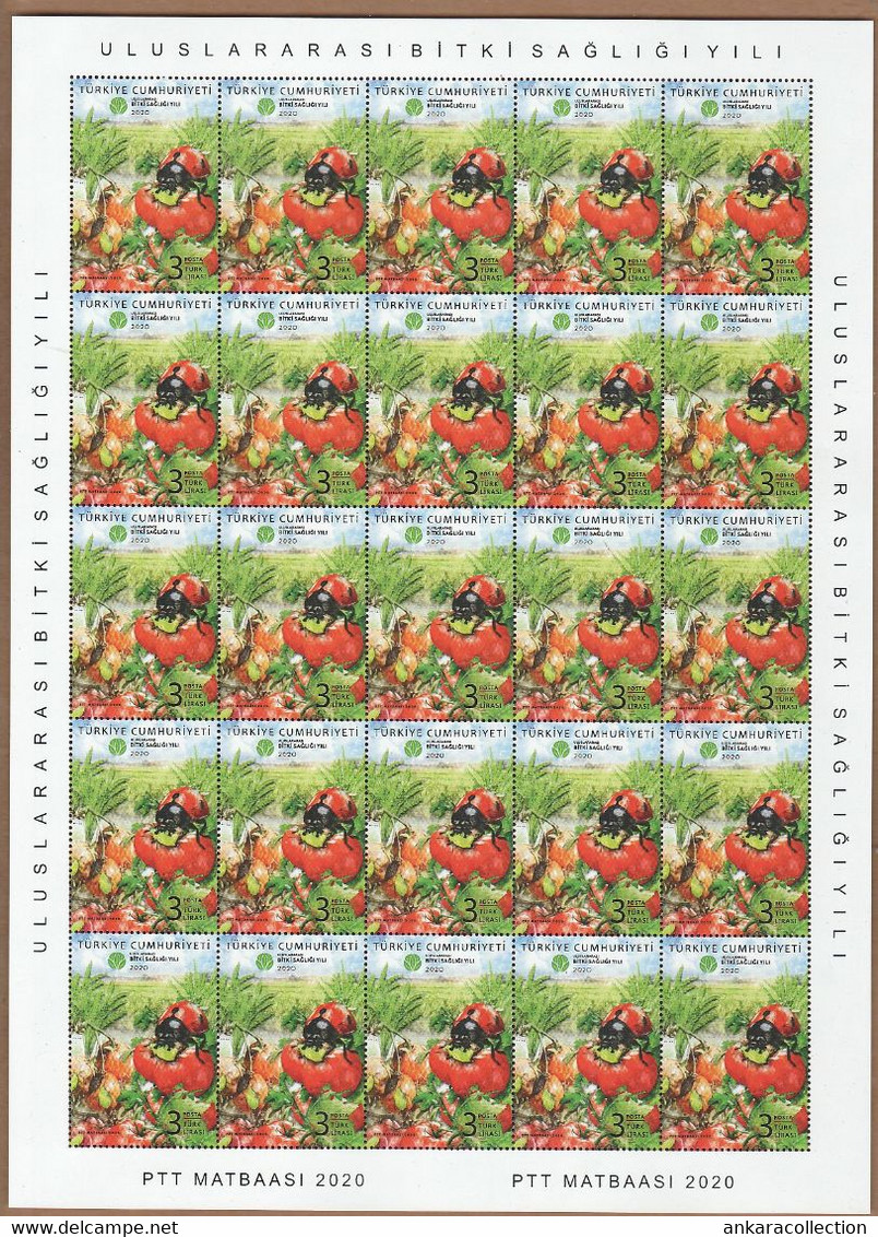 AC - TURKEY STAMP -  2020 INTERNATIONAL YEAR OF PLANT HEALTH MNH FULL SHEET LADYBUG 24 SEPTEMBER 2020 - Usados