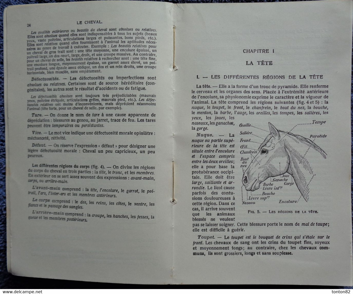 E.C. Fraisse - Le CHEVAL - Encyclopédie des connaissances agricoles  - Hachette - ( 1945 )