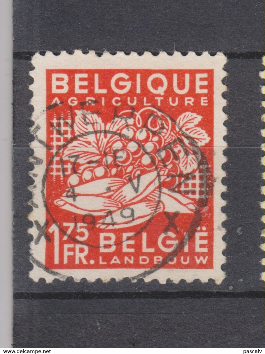 COB 763 Oblitération Centrale ANTWERPEN - 1948 Export