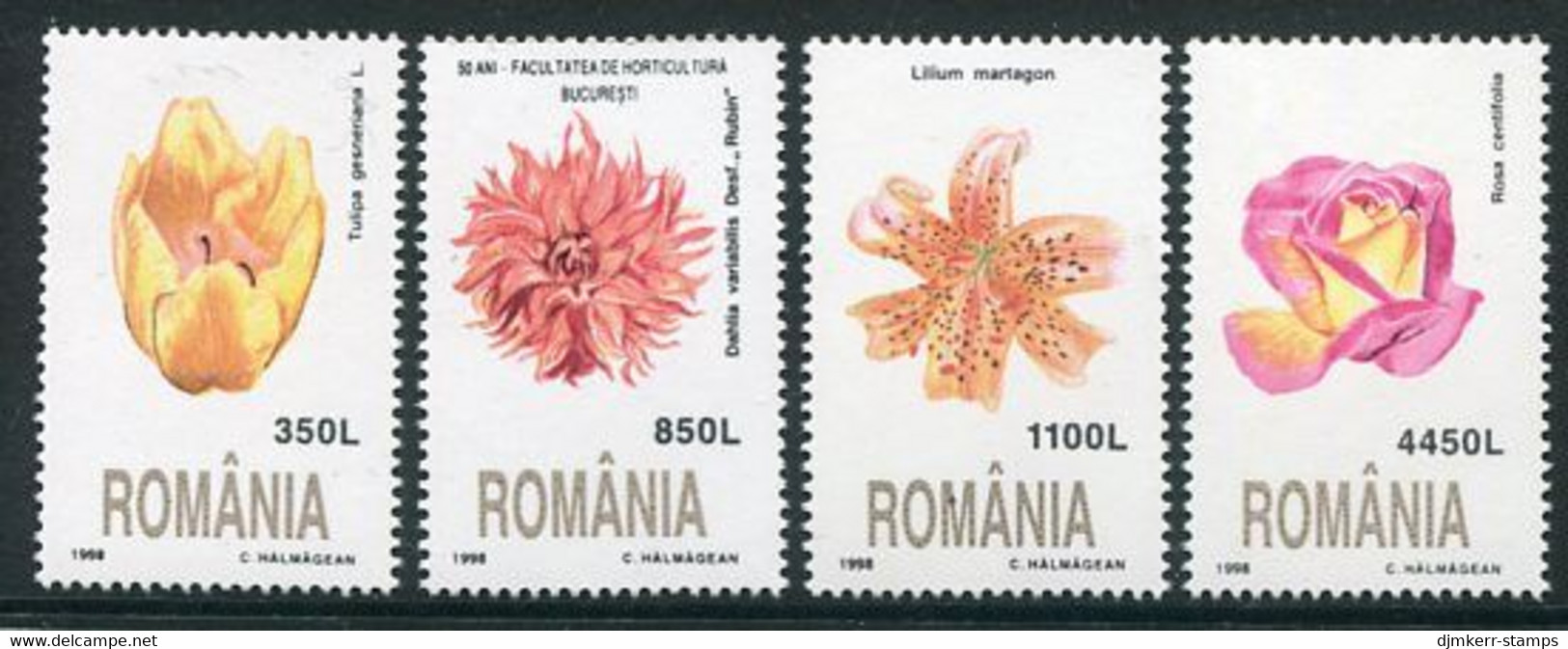 ROMANIA 1998 Flowers MNH / **.  Michel 5348-51 - Unused Stamps