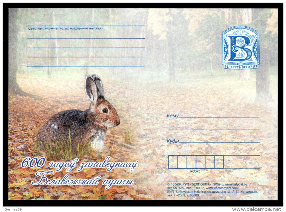 Belarus 2009. Postcard. Fauna, Rabbit, Hare. Reserve "Belovezhskaya Pushcha" - Belarus