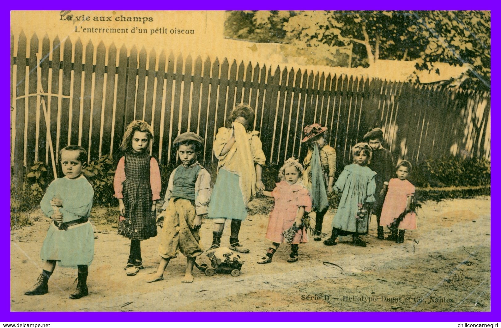 Cp Glacée Et Colorisée - La Vie Aux Champs - L'enterrement D'un Petit Oiseau - Cortège D'Enfants Qui Pleurent - 1906 - Funérailles