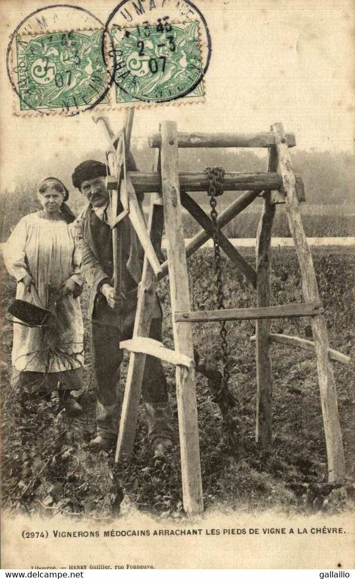 VIGNERONS MEDOCAINS ARRACHANT LES PIEDS DE VIGNE A LA CHEVRE - Autres & Non Classés