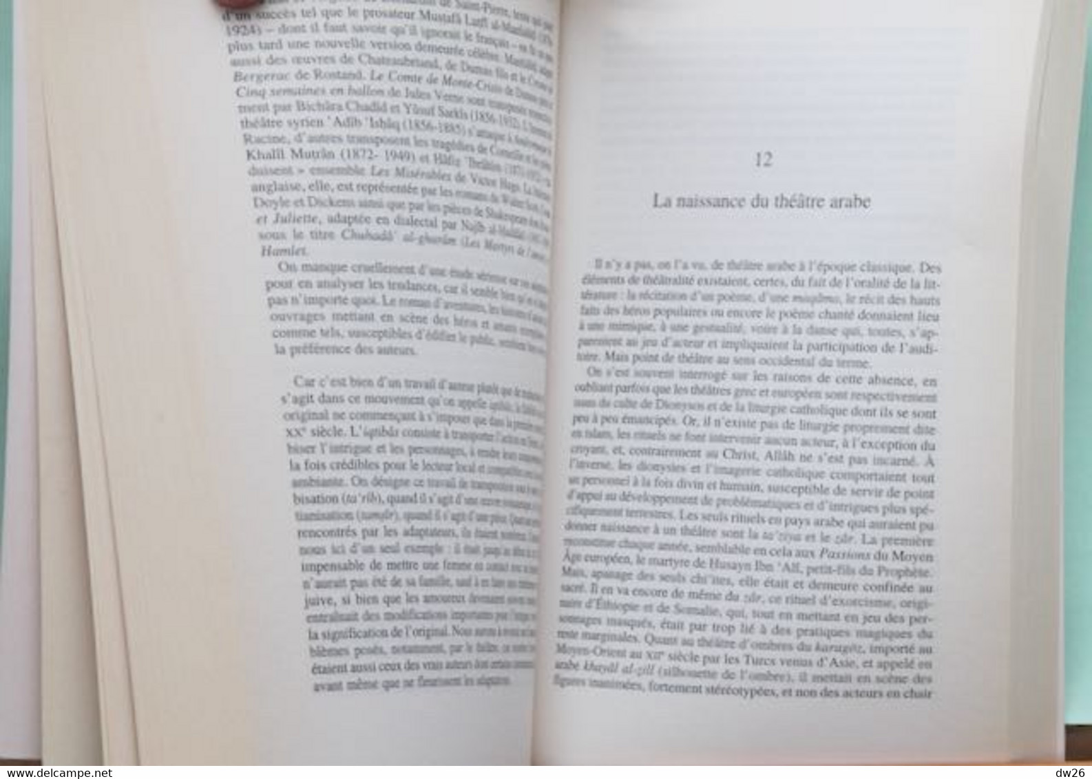 A La Découverte De La Littérature Arabe Du Vie Siècle à Nos Jours Par HeidiToelle Et Katia Zakharia - Ed. Flammarion - Sonstige & Ohne Zuordnung