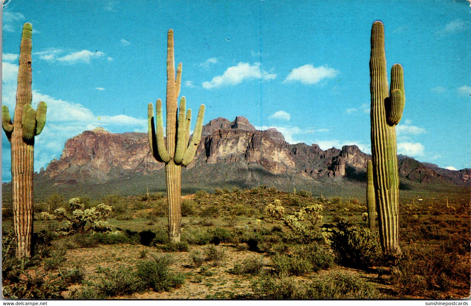 Arizona Mesa Superstition Mountains And Giant Saguaro Cactus - Mesa