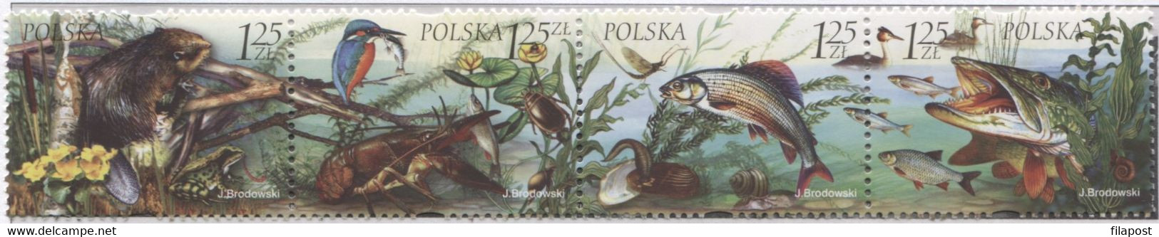 Poland 2004, Mi 4101-4104 Fauna And Flora Of Freshwater Reservoir, Animals Species Full Of Set **MNH - Fische