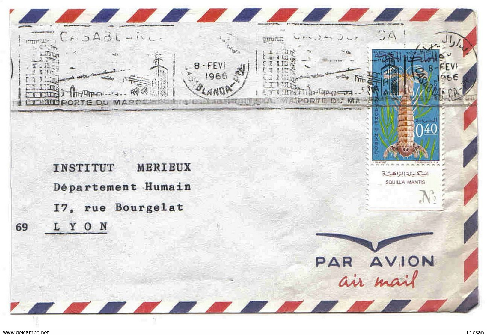 Maroc Morocco Marruecos Marokko Lettre Casablanca 1966 Squilla Mantis écrevisse Belege Cover Carta - Schalentiere