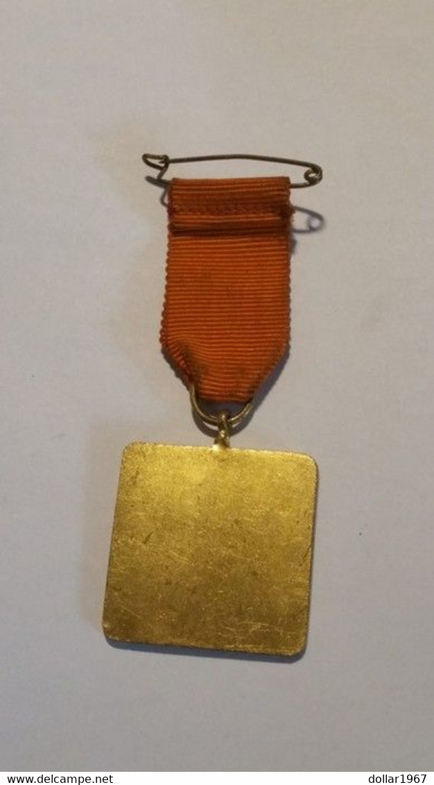 Medaille -:Netherlands  -   Koningin Juliana Wandeltocht Velp - Monarchia/ Nobiltà