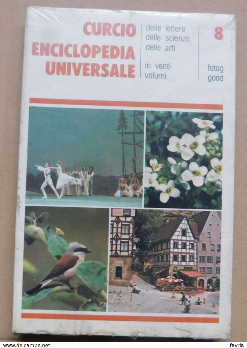 Curcio Enciclopedia Universale - 8° #  Lettere, Scienze Arti # 22x14,5 # Mai Aperto, Ancora Nel Celophan Originale - Da Identificare