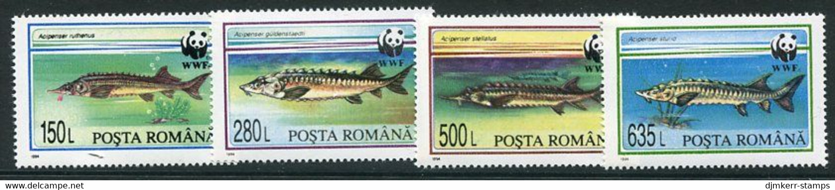 ROMANIA 1994 Sturgeons MNH / **.  Michel 5034-37 - Nuovi
