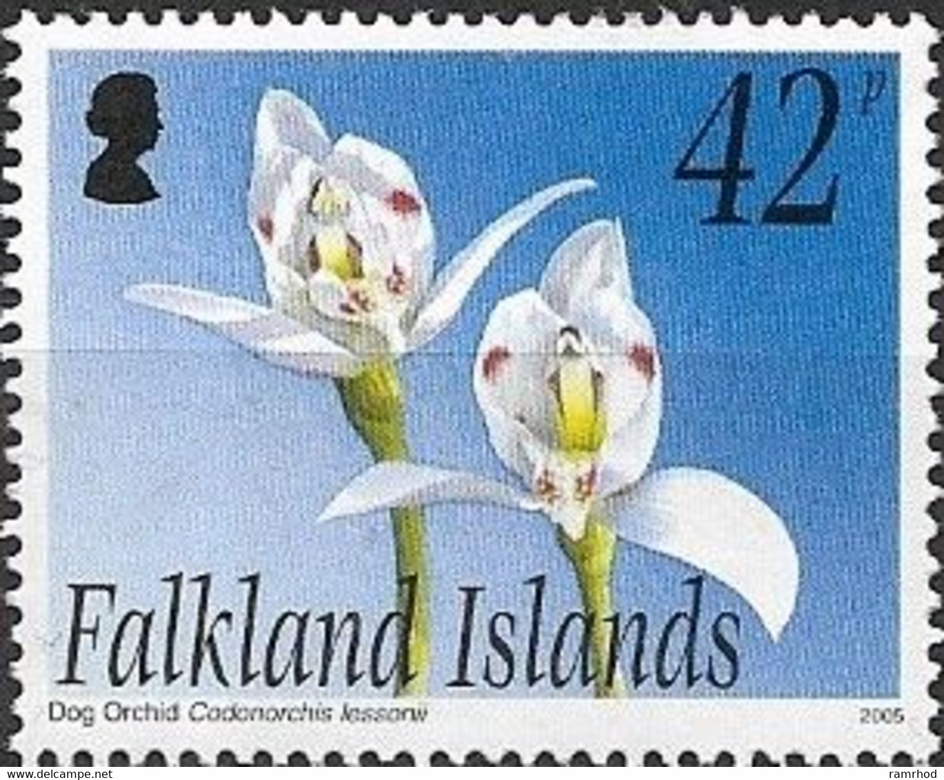 FALKLAND ISLAND 2004 Off-shore Islands. Sea Lion Island -  42p - Dog Orchid MNH - Falkland