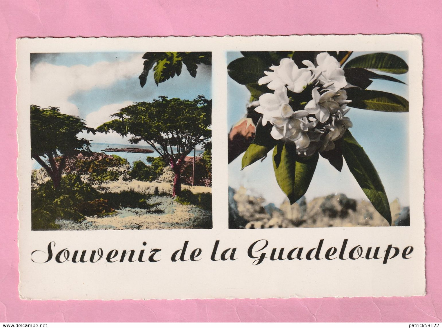 GUADELOUPE - SOUVENIR DE GUADELOUPE - COLLECTION PARMIN CANDALEN - POINTE A PITRE - - Saint Martin