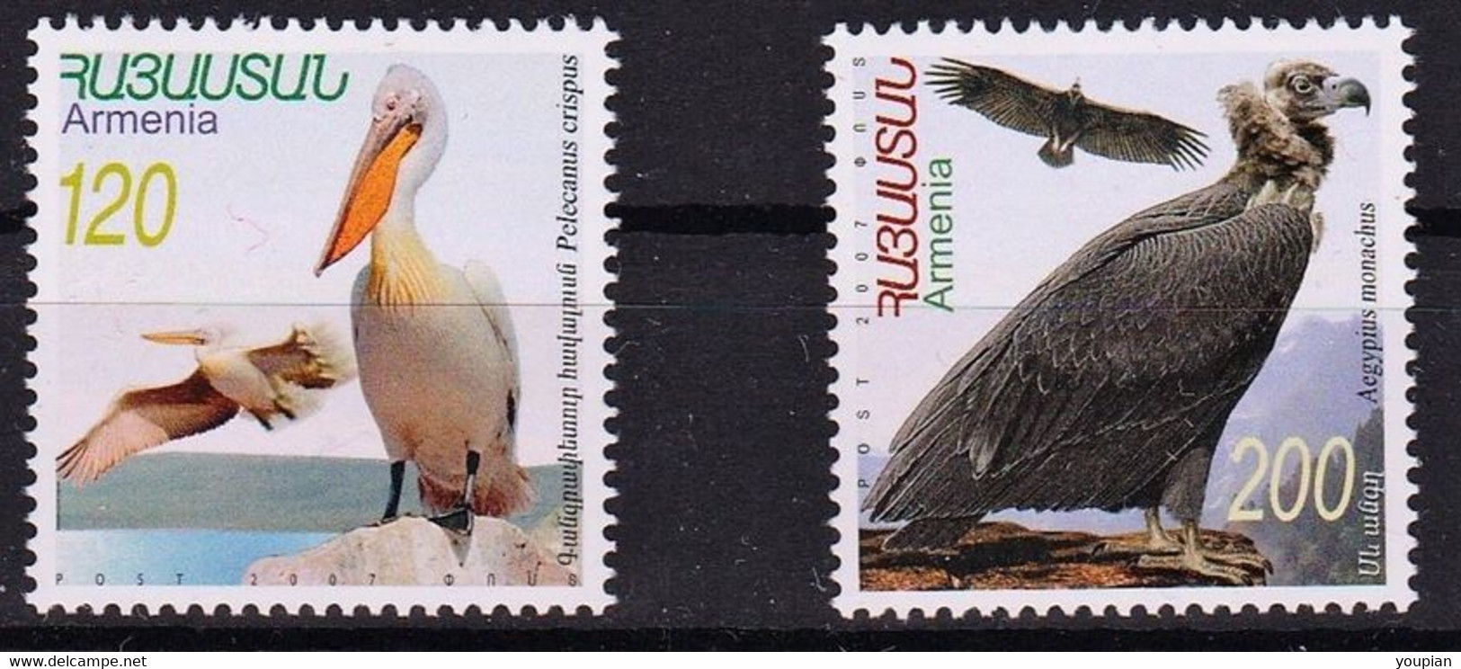 Armenia 2007, Fauna - Birds, MNH Stamps Set - Armenië