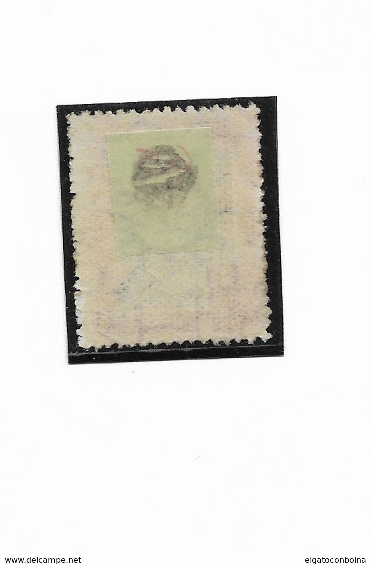 ARGENTINA 1923 SAN MARTIN 10 PESOS MINT HINGED - Unused Stamps