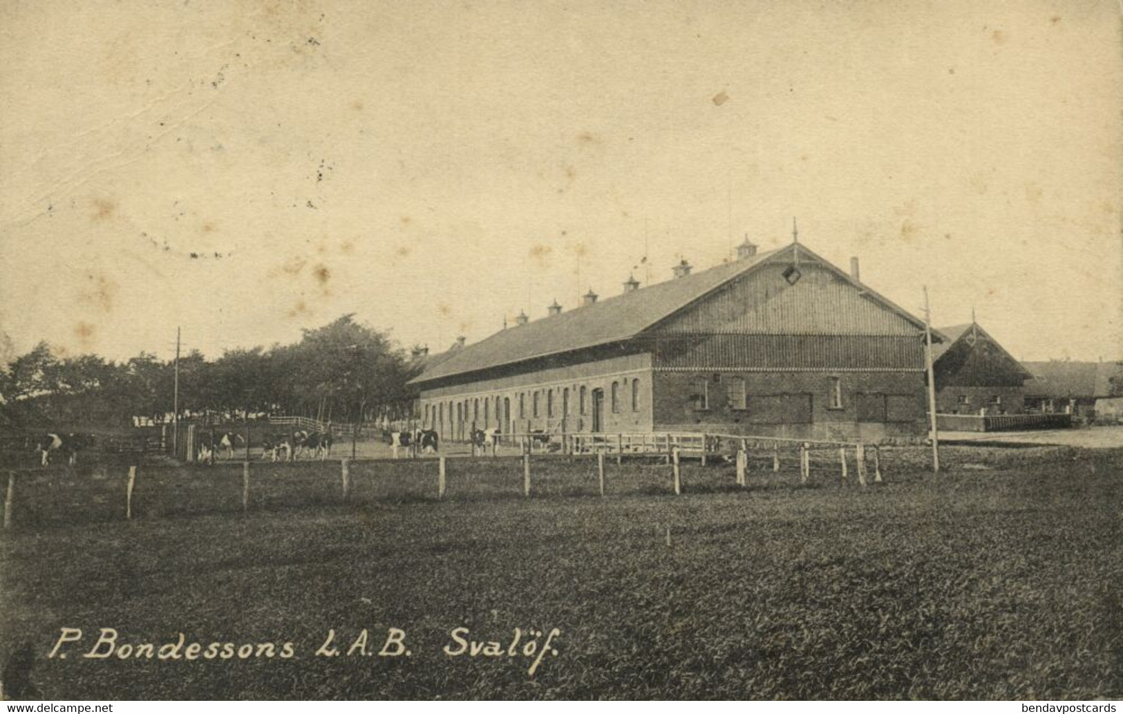 Sweden, SVALÖF, Per Bondessons Landtbruksaktiebolag (1910) Postcard - Suecia