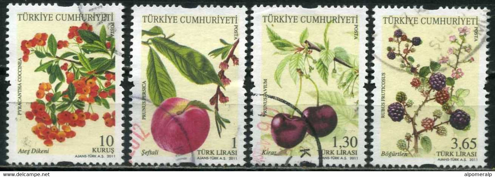 Turkey 2011 Mi 3914-3917 Fruits, Flora | Pyracantha, Peach, Wild Cherry, Blackberry - Used Stamps