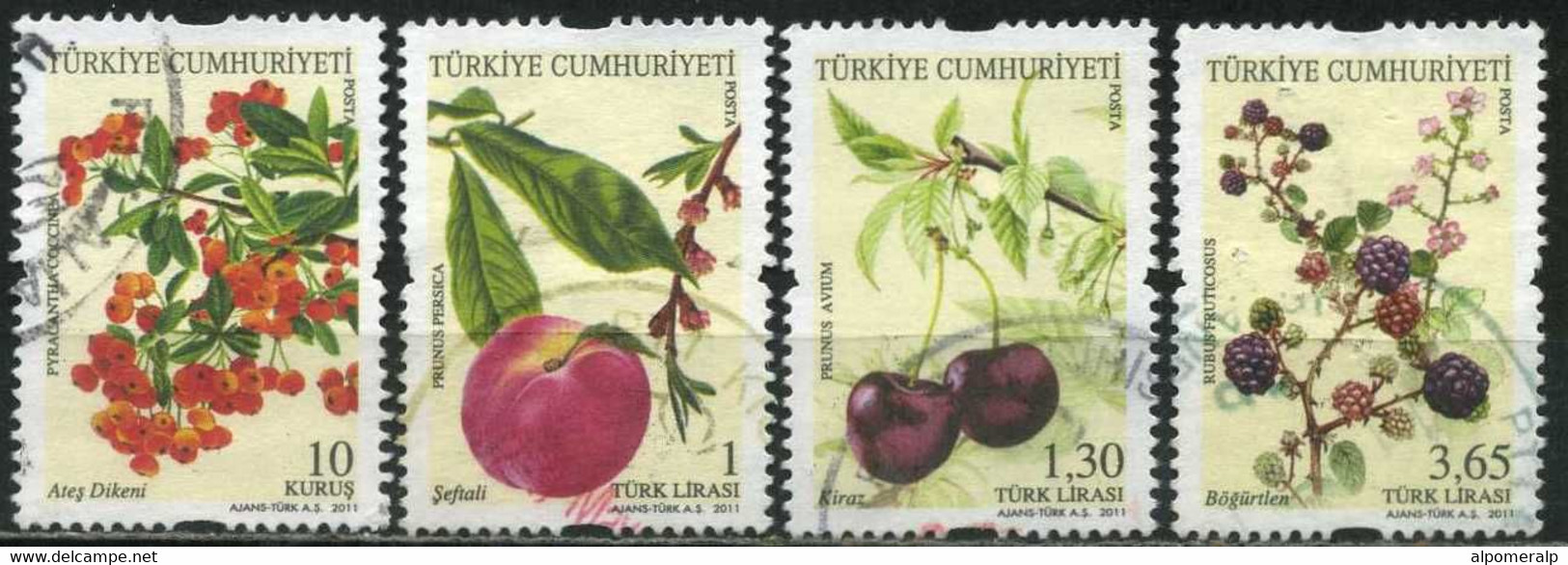 Turkey 2011 Mi 3914-3917 Fruits, Flora | Pyracantha, Peach, Wild Cherry, Blackberry - Usati