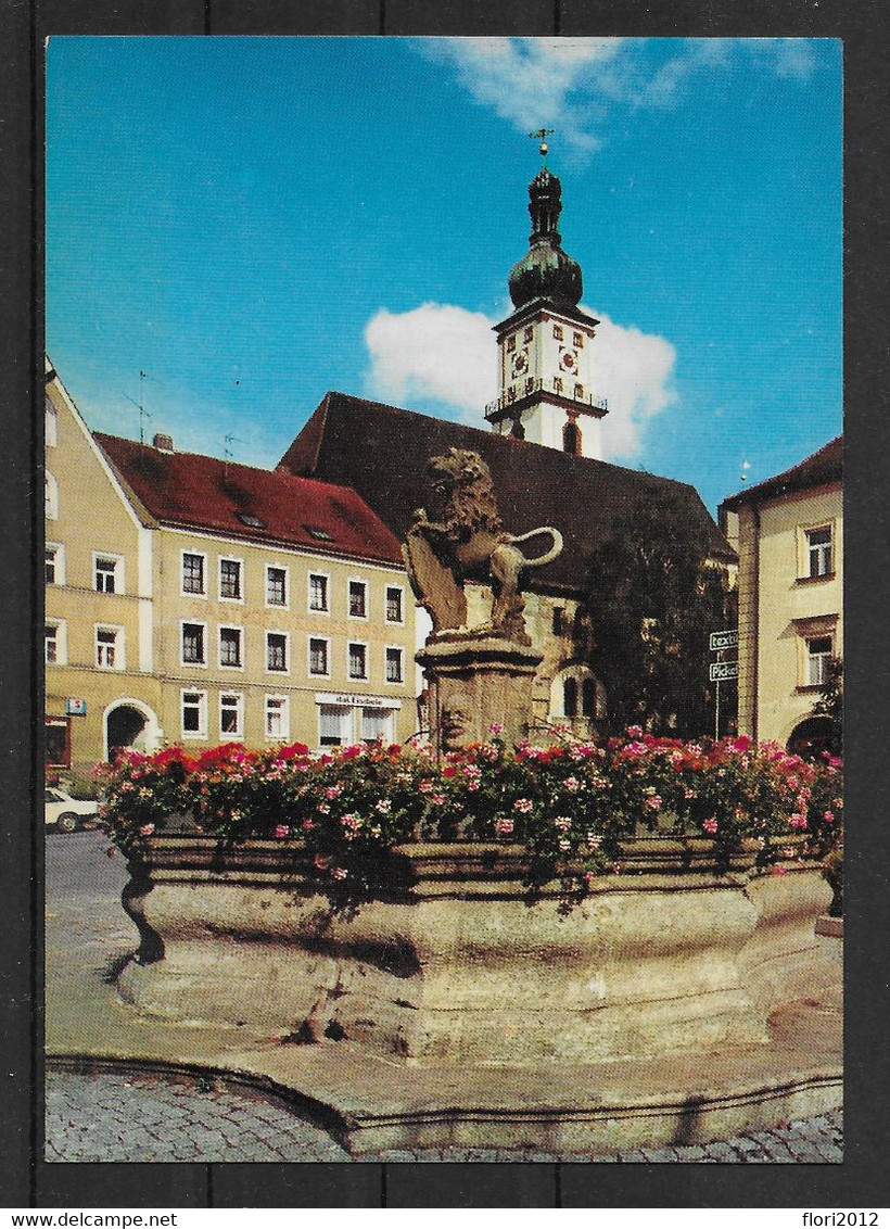 (3001) AK Sulzbach-Rosenberg - Löwenbrunnen Am Luitpoldplatz - Sulzbach-Rosenberg