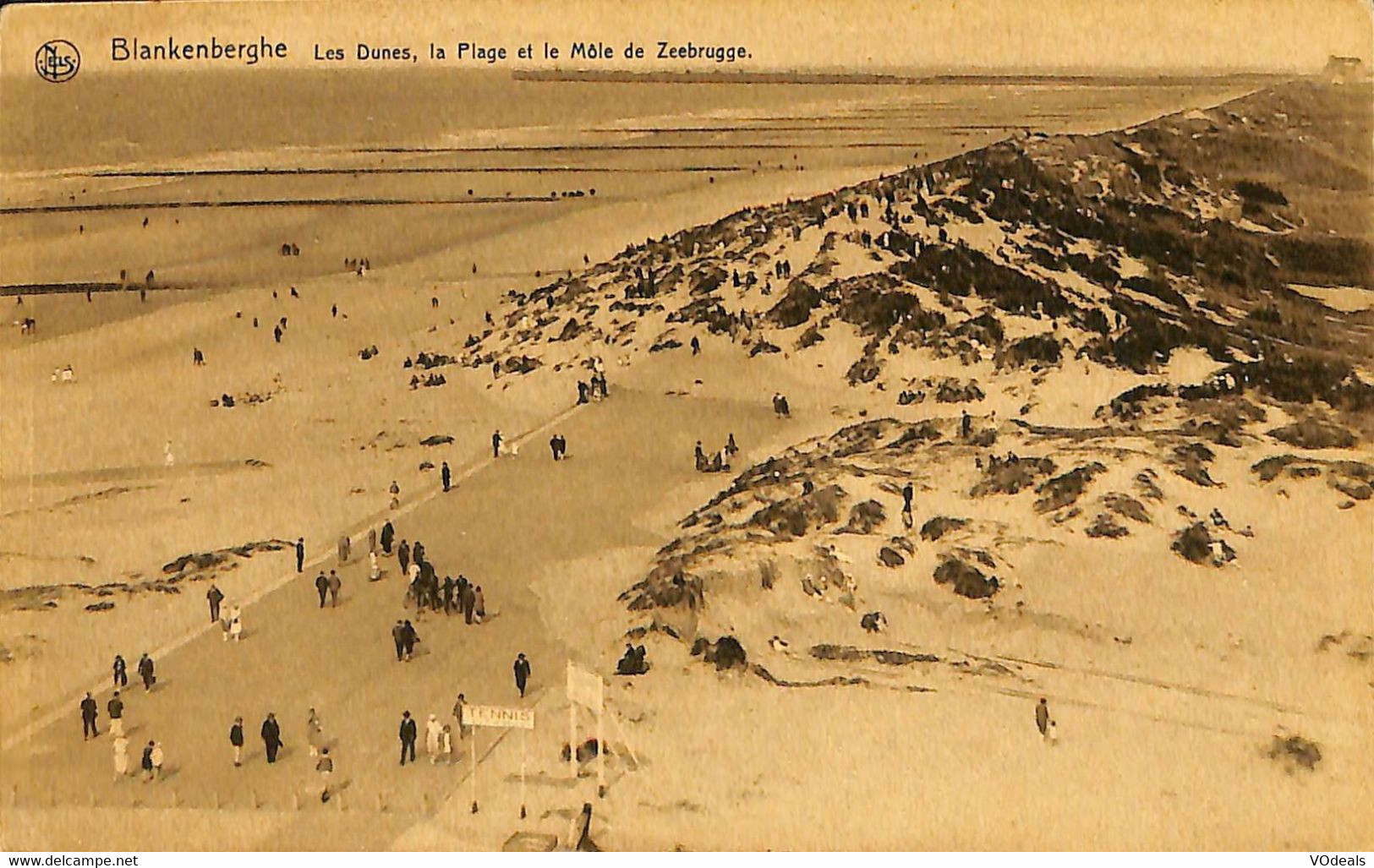 031 796 - CPA - Belgique - Blankenberge - Blankenberghe - Les Dunes - Blankenberge