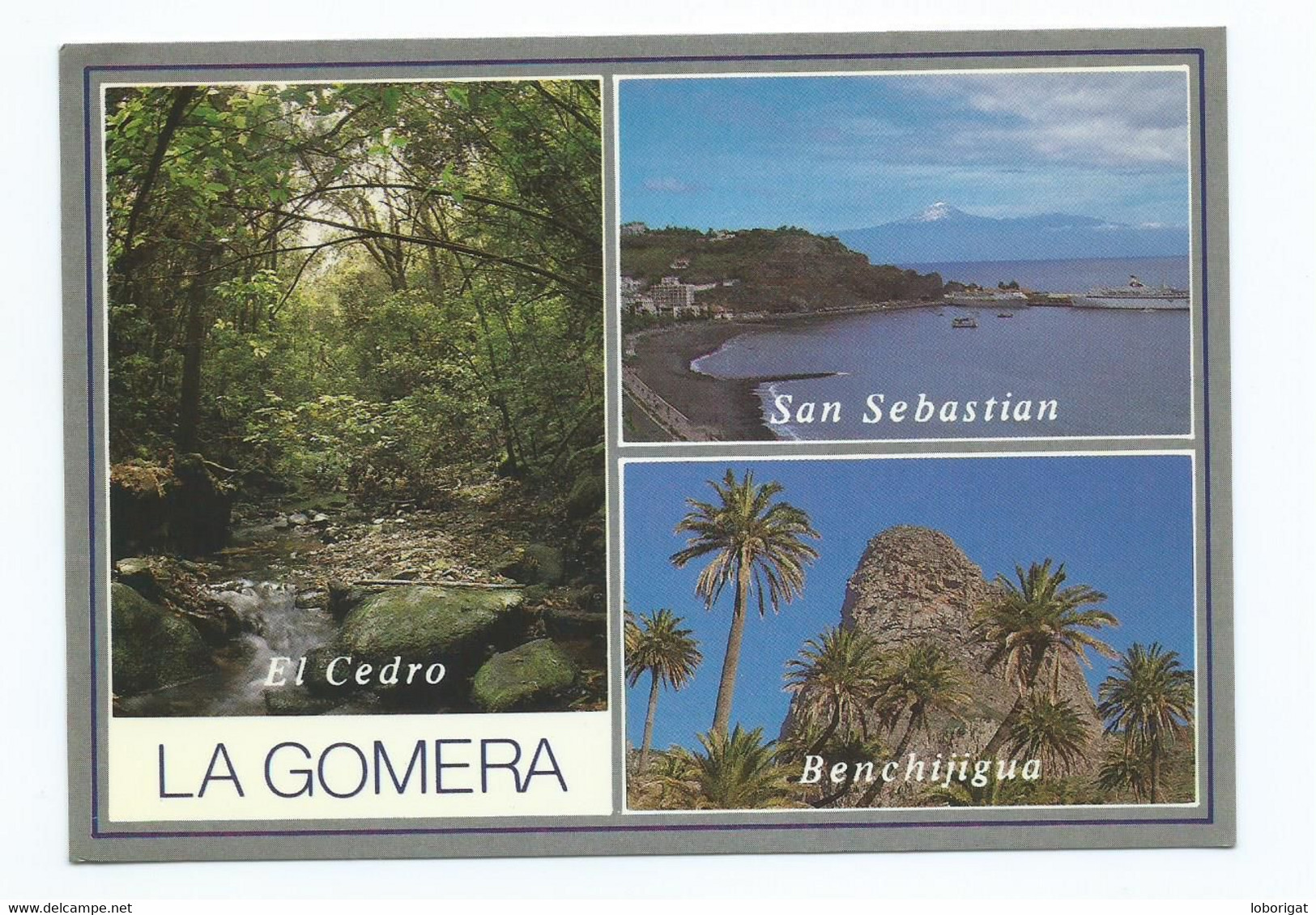 EL CEDRO - SAN SEBASTIAN - BENCHIJIGUA - LA GOMERA / ISLAS CANARIAS.- ( ESPAÑA ) - Gomera