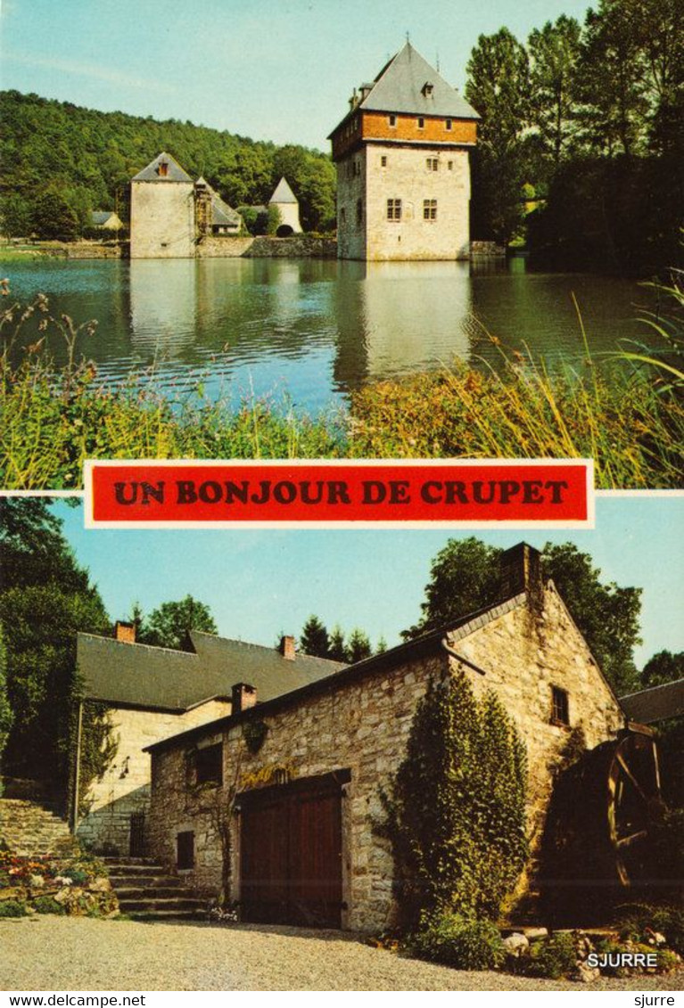 CRUPET / Assesse - Le Château Et Le Moulin - Kasteel - Un Bonjour De Crupet - Assesse
