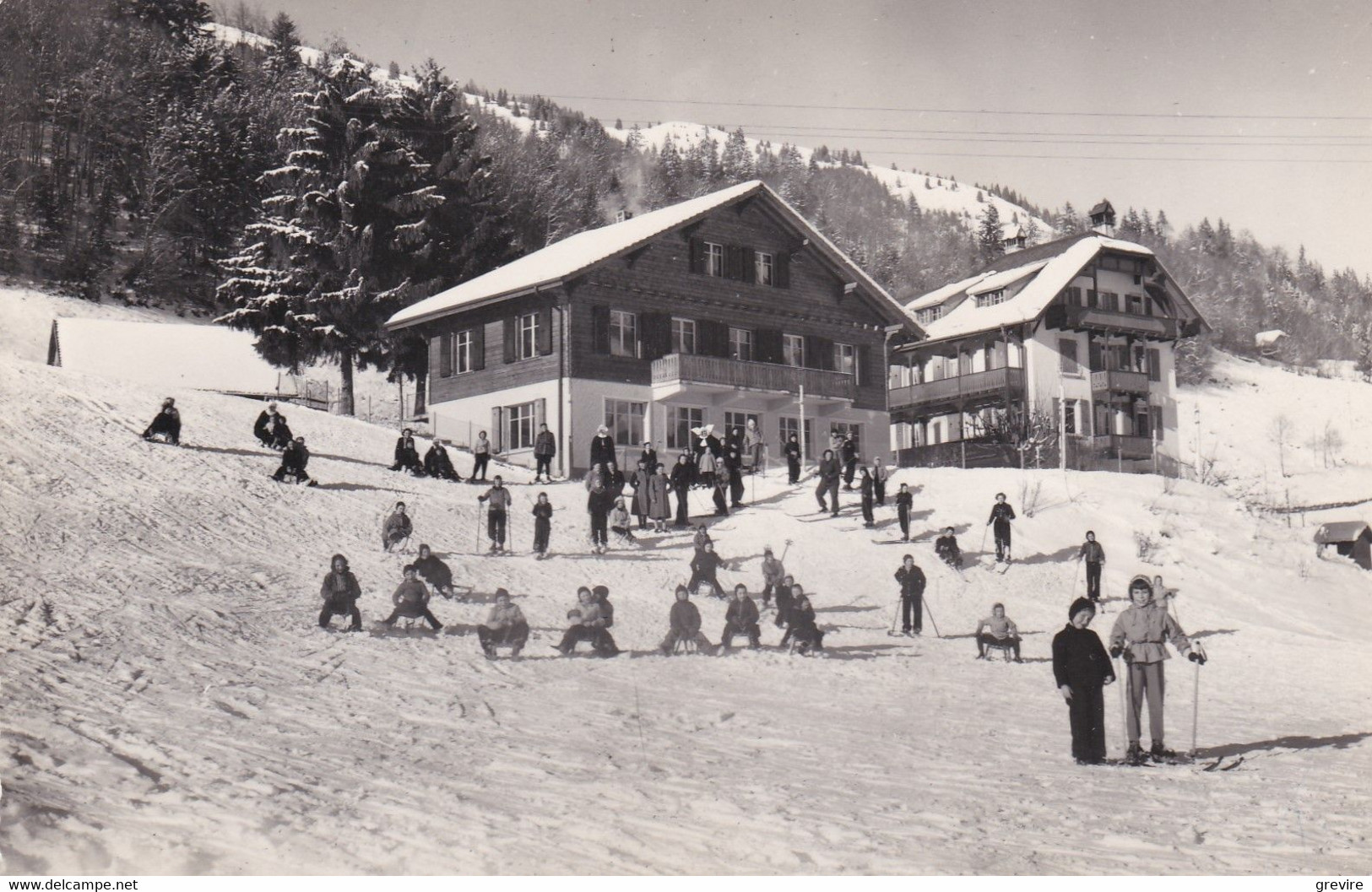 Les Sciernes D'Albeuve, Aerium Des Enfants. Ski Et Luge - Albeuve