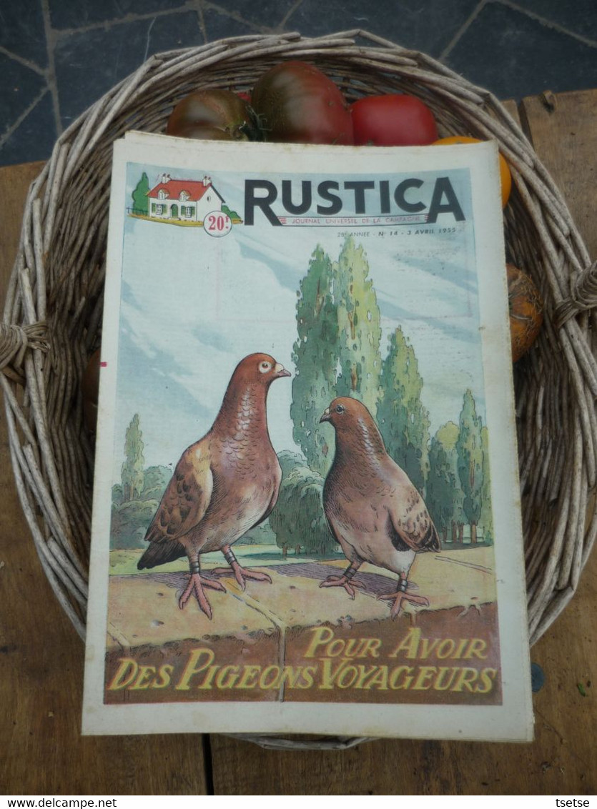 Ancienne Revue Des Campagnes " Rustica " Sur La Nature Et Le Jardinage - 3 Avril 1955 - Garden