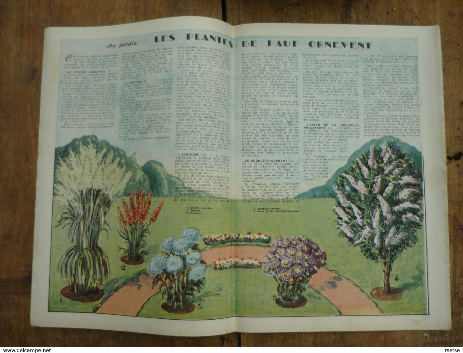 Ancienne Revue Des Campagnes " Rustica " Sur La Nature Et Le Jardinage - 3 Avril 1955 - Garden