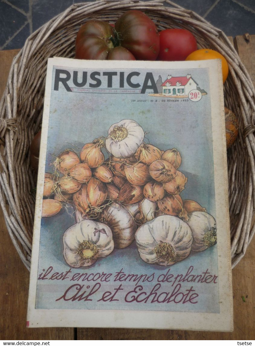 Ancienne Revue Des Campagnes " Rustica " Sur La Nature Et Le Jardinage - 20 Février 1955 - Jardinage