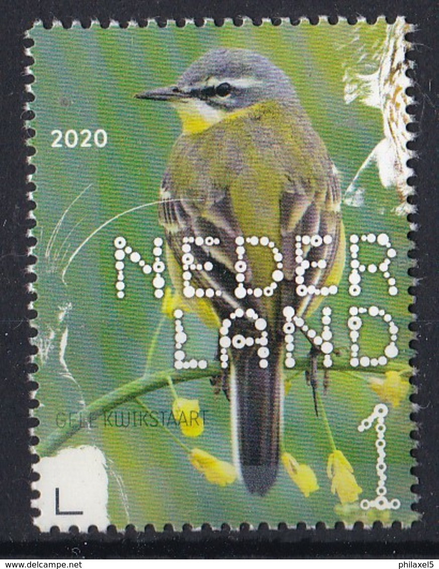 Nederland - Beleef De Natuur - Boerenlandvogels - Gele Kwikstaart - MNH - NVPH 3824 - Songbirds & Tree Dwellers