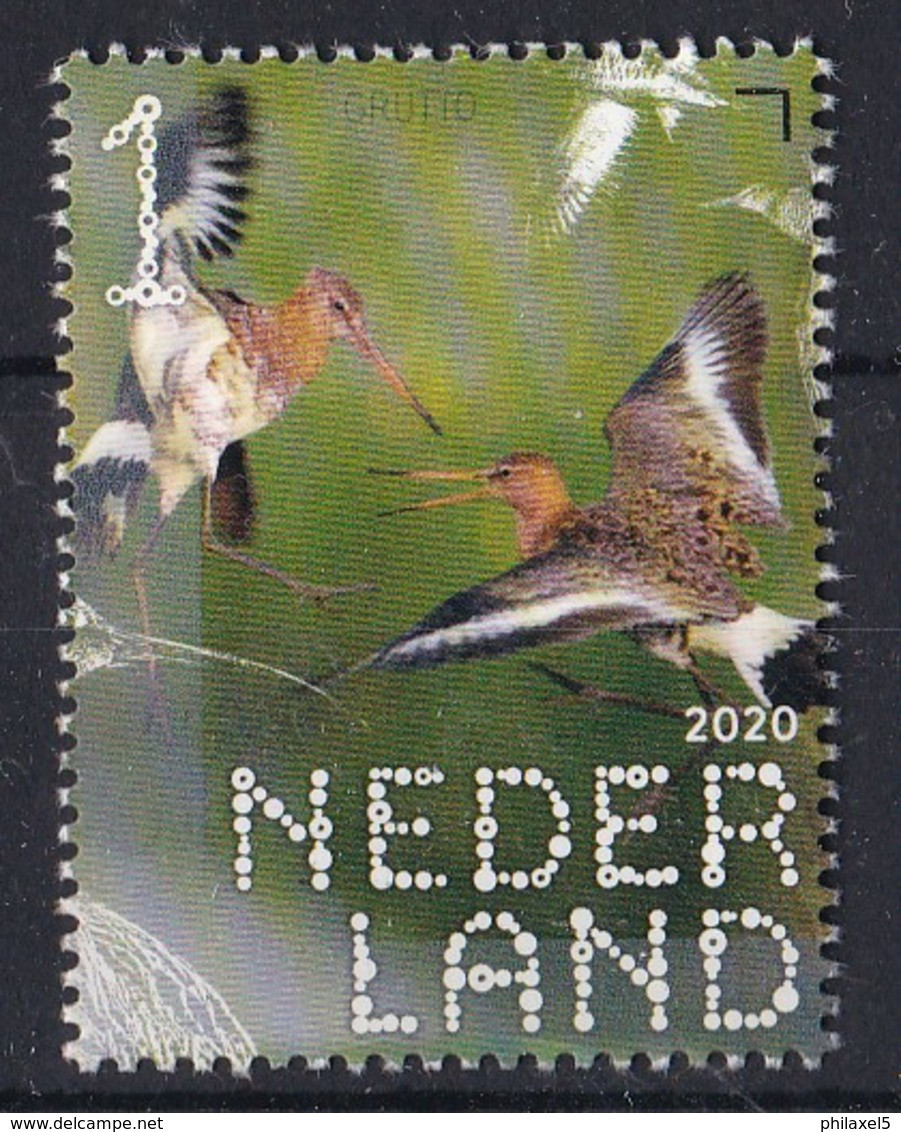 Nederland - Beleef De Natuur - Boerenlandvogels - Grutto - MNH - NVPH 3826 - Andere & Zonder Classificatie