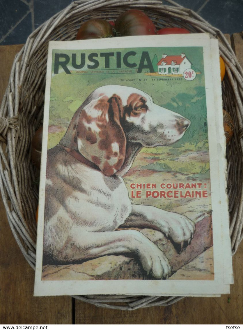 Ancienne Revue Des Campagnes " Rustica " Sur La Nature Et Le Jardinage - 11 Septembre 1955 - Giardinaggio