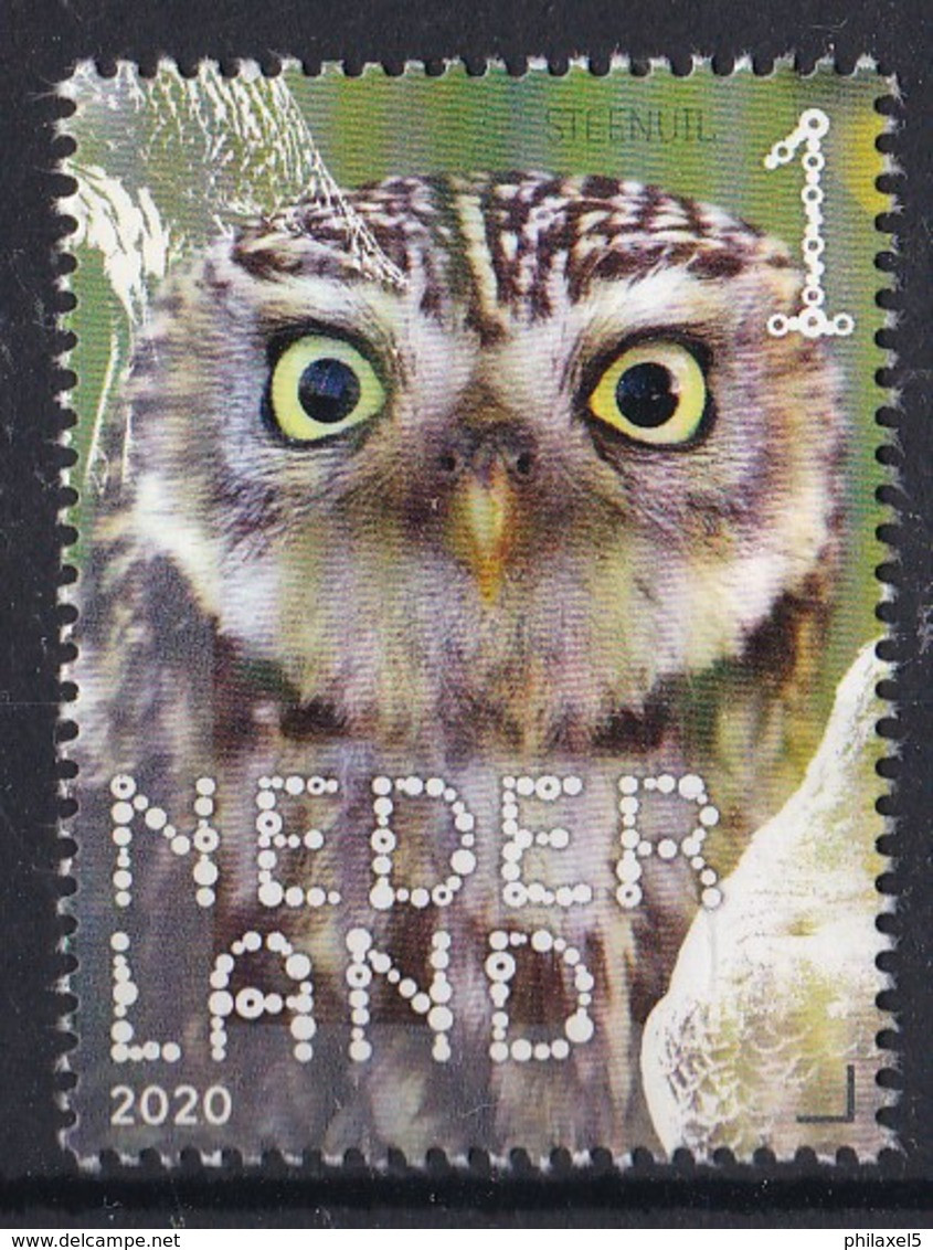 Nederland - Beleef De Natuur - Boerenlandvogels - Steenuil - MNH - NVPH 3831 - Nuovi