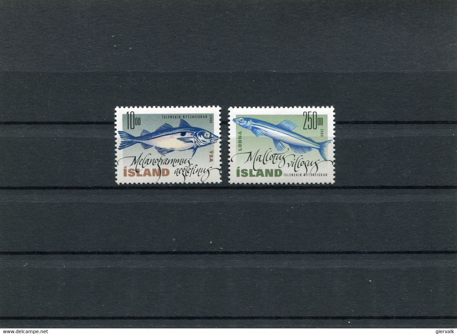 ICELAND Fishes 2000 MNH. - Unused Stamps