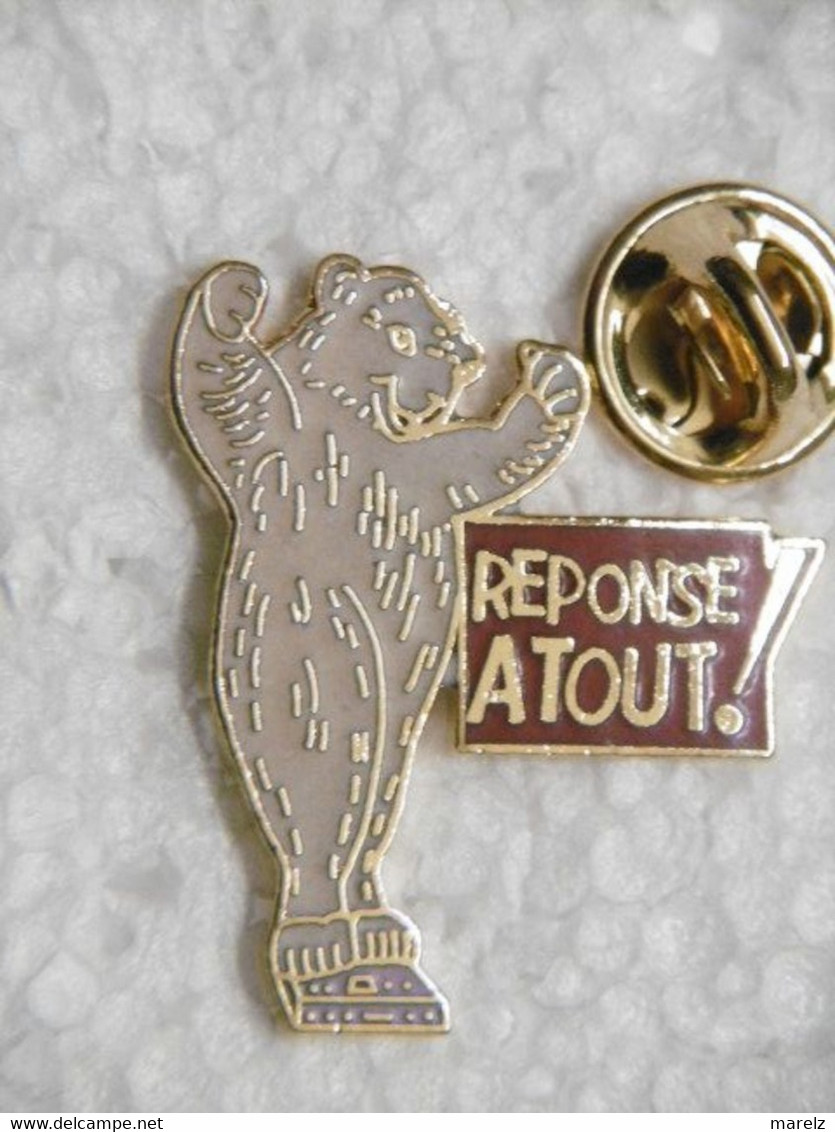 Pin's - Médias Jeu TV Et Revue Magazine "RÉPONSE A TOUT !" - Animaux OURS Savant BEAR - Medias