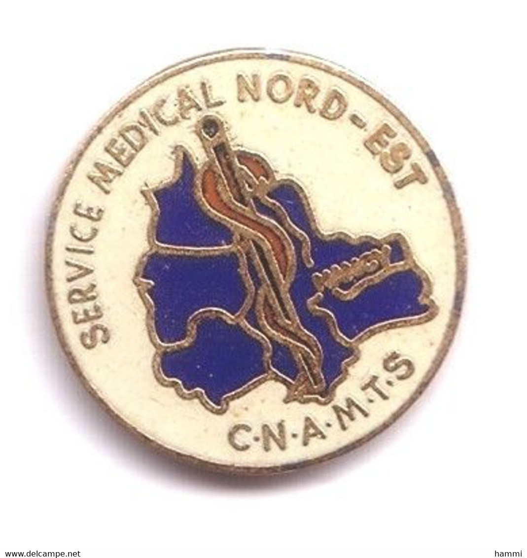 R330 Pin's Cpam C.n.a.m.t.s SERVICE Médical Médecine NORD EST Département Caducée Serpent Nancy Achat Immédiat - Medici