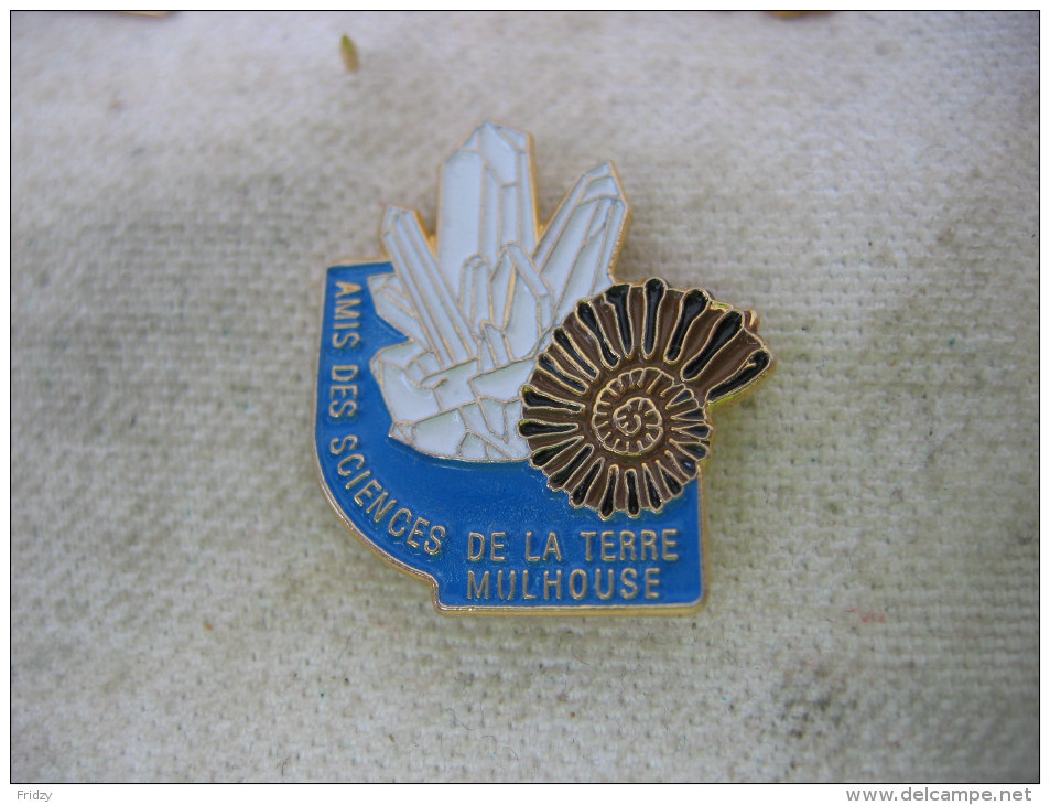 Pin's Des Amis Des Sciences De La Terre à MULHOUSE. Minéraux - Associazioni