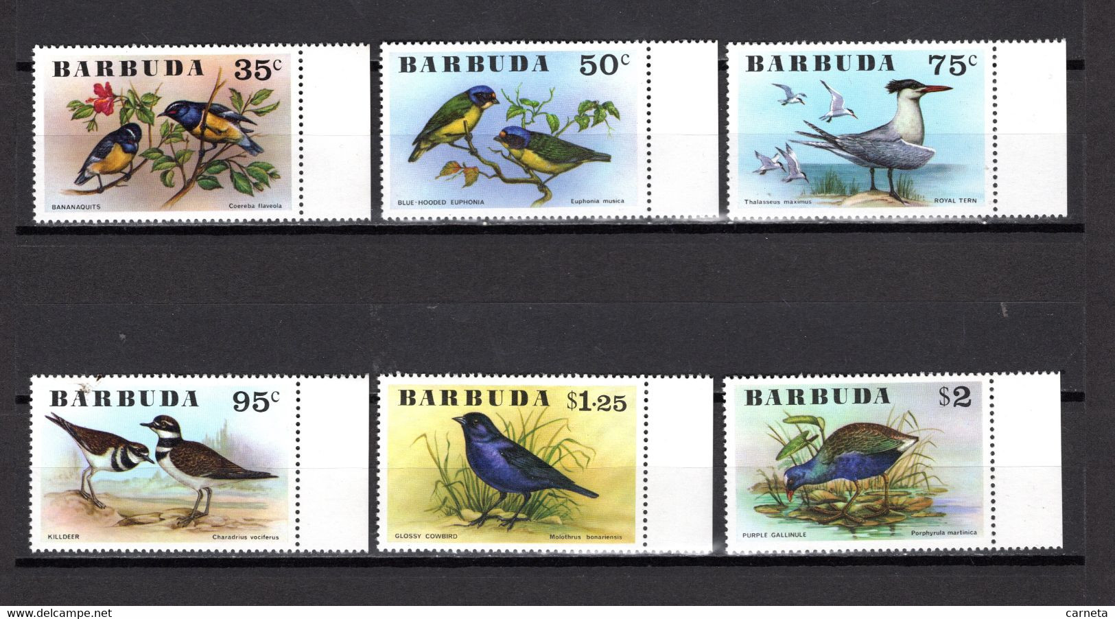 BARBUDA N° 251 à 256   NEUFS SANS CHARNIERE   COTE  26.50€   ANIMAUX  OISEAUX - Antigua And Barbuda (1981-...)