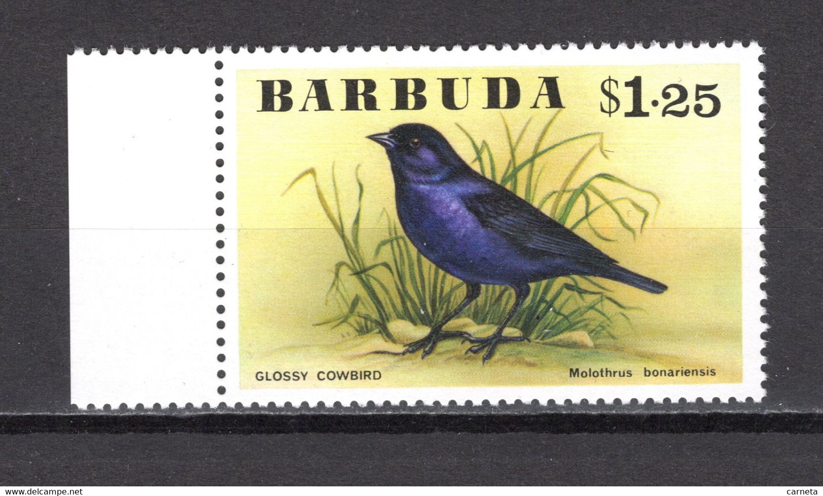 BARBUDA N° 255  NEUF SANS CHARNIERE COTE  5.50€        ANIMAUX OISEAUX - Antigua And Barbuda (1981-...)