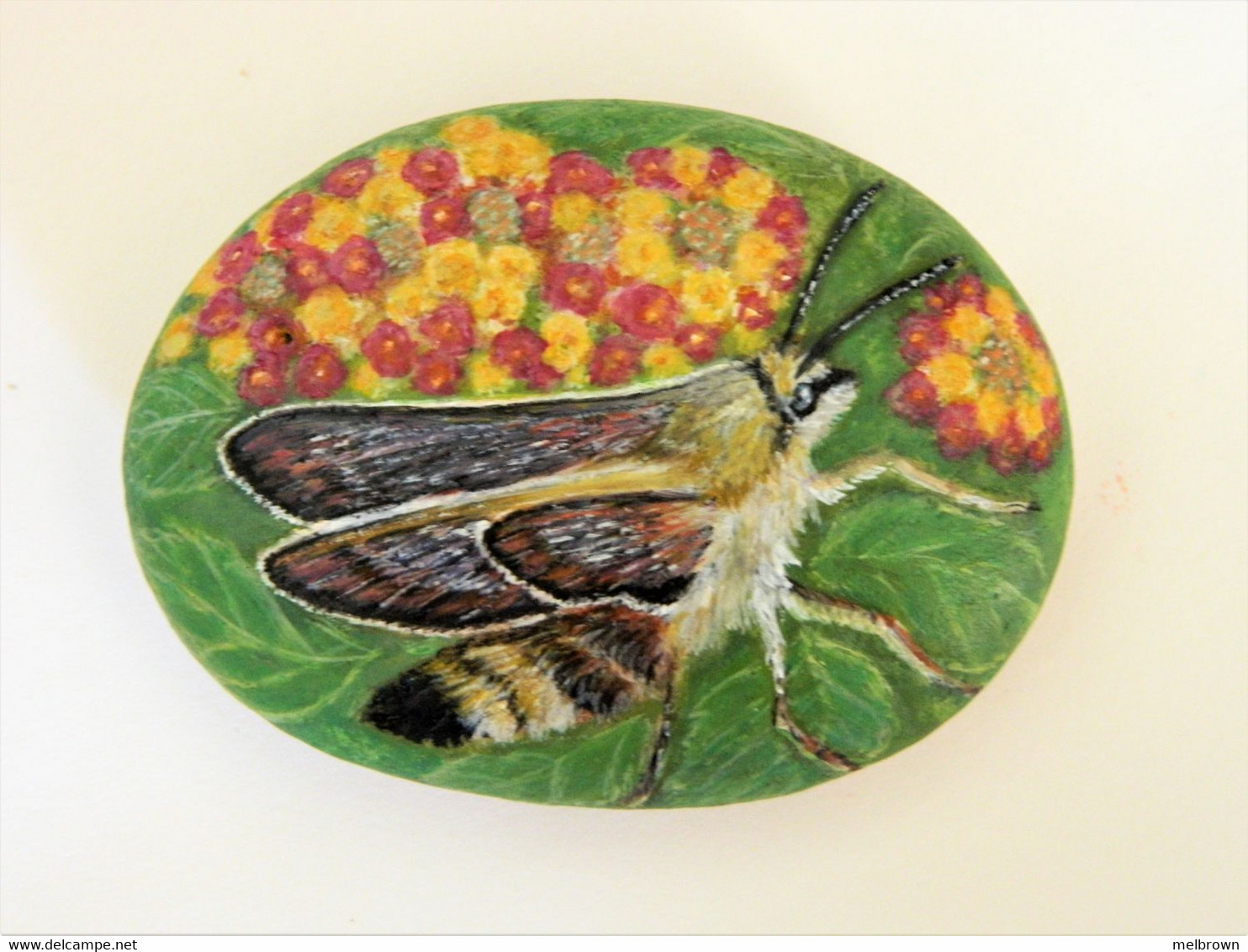 Original Painting Of A Humming Bird Hawkmoth Hand Painted On A Spanish Beach Stone Paperweight Decoration - Briefbeschwerer