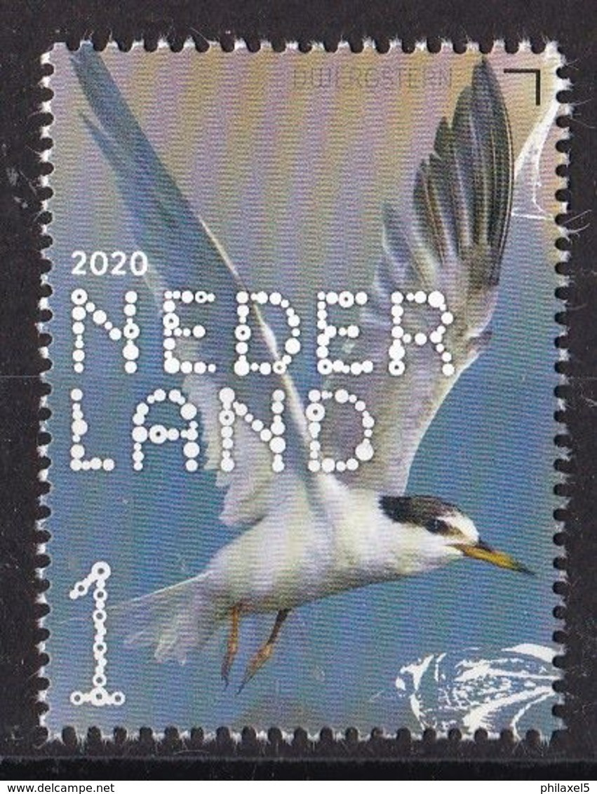 Nederland - Beleef De Natuur - Kustvogels - Kleine Dwergstern - MNH - NVPH 3849 - Seagulls