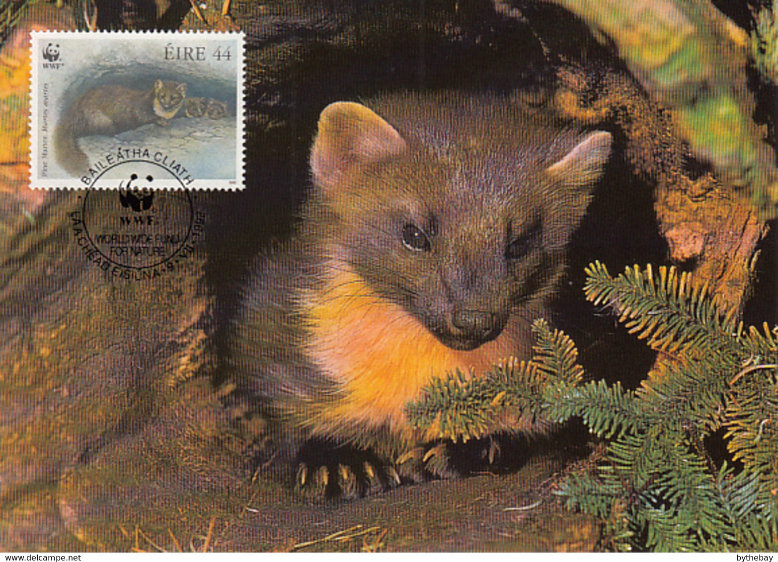 Ireland 1992 Maxicard Sc #870 44p Pine Martens WWF - Cartes-maximum